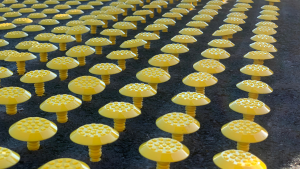 SITE PHOTOS 1080 X 1920 FRAME (4)